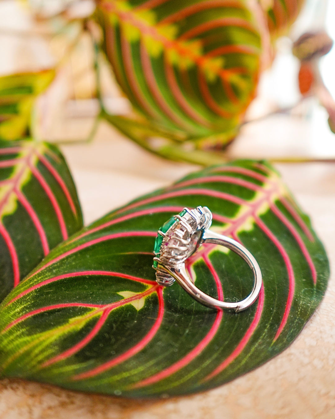 Bague Paon