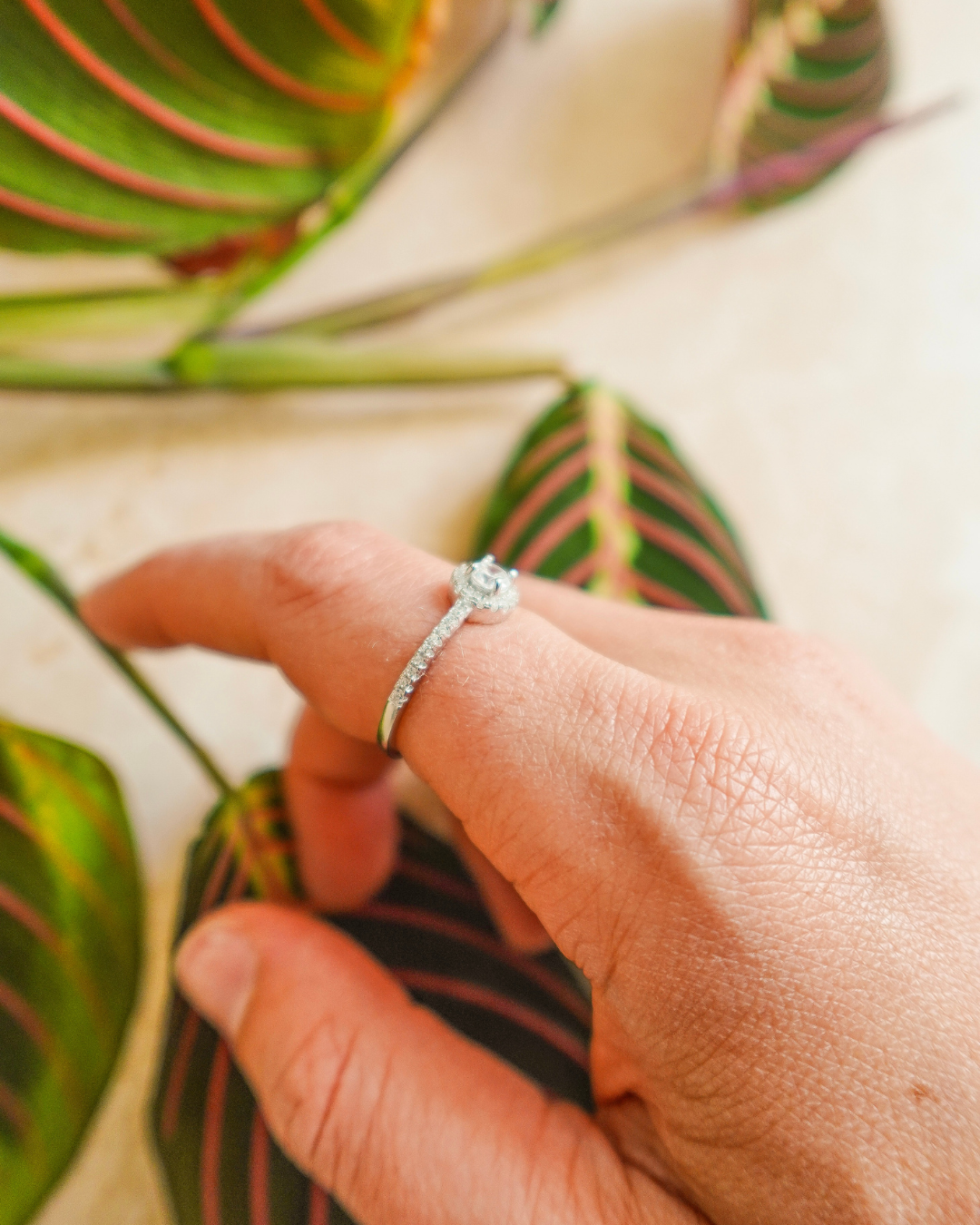 Bague zèbre
