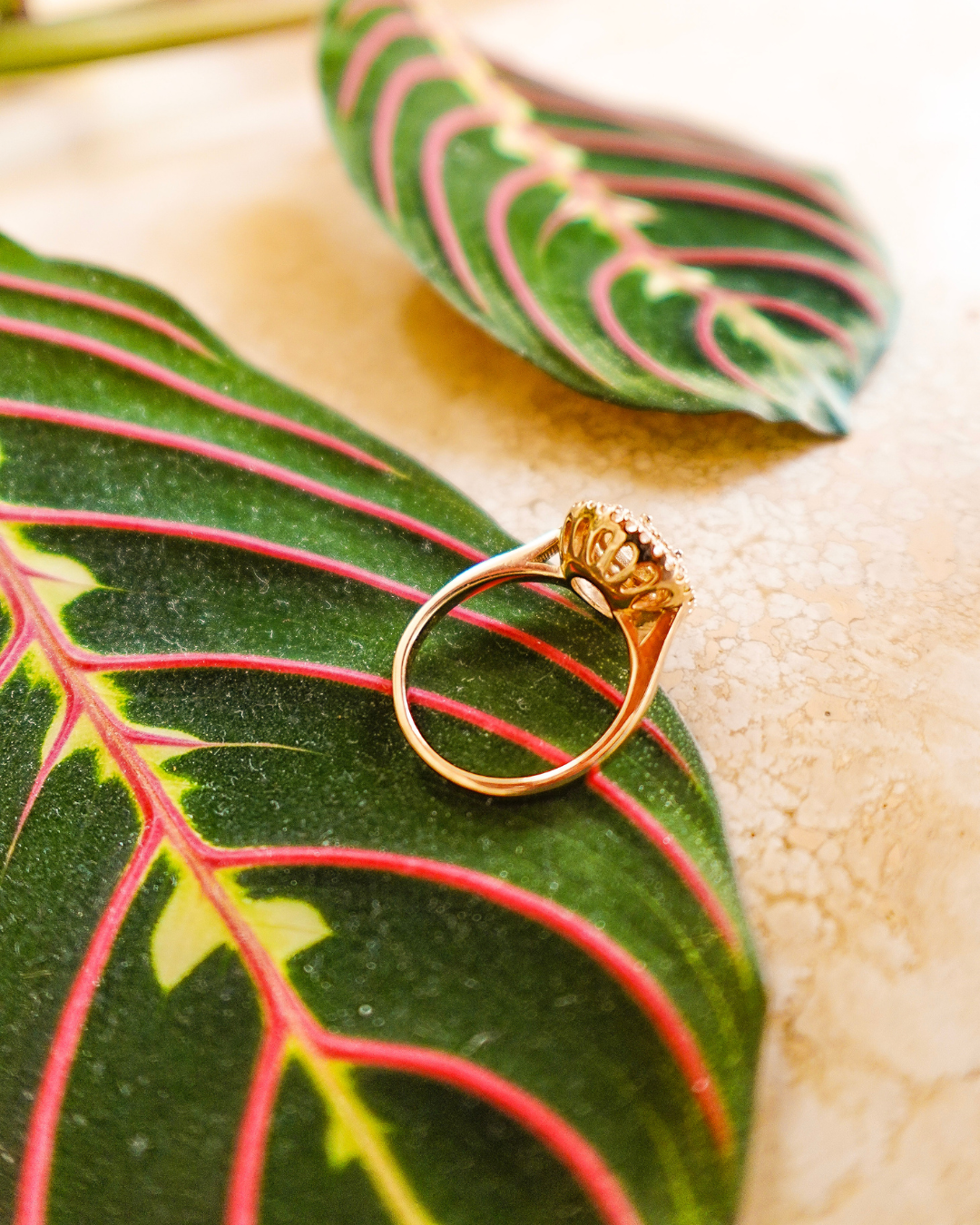 Bague Lionne