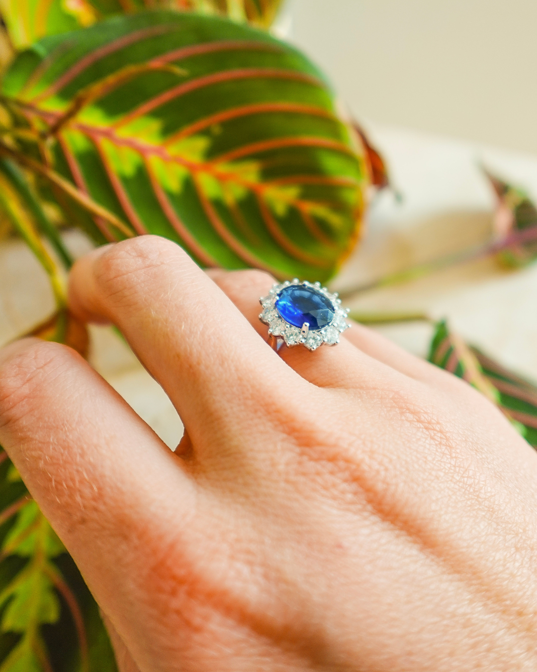Bague Perruche