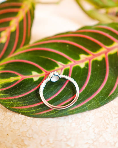 Bague zèbre