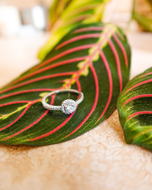 Bague zèbre