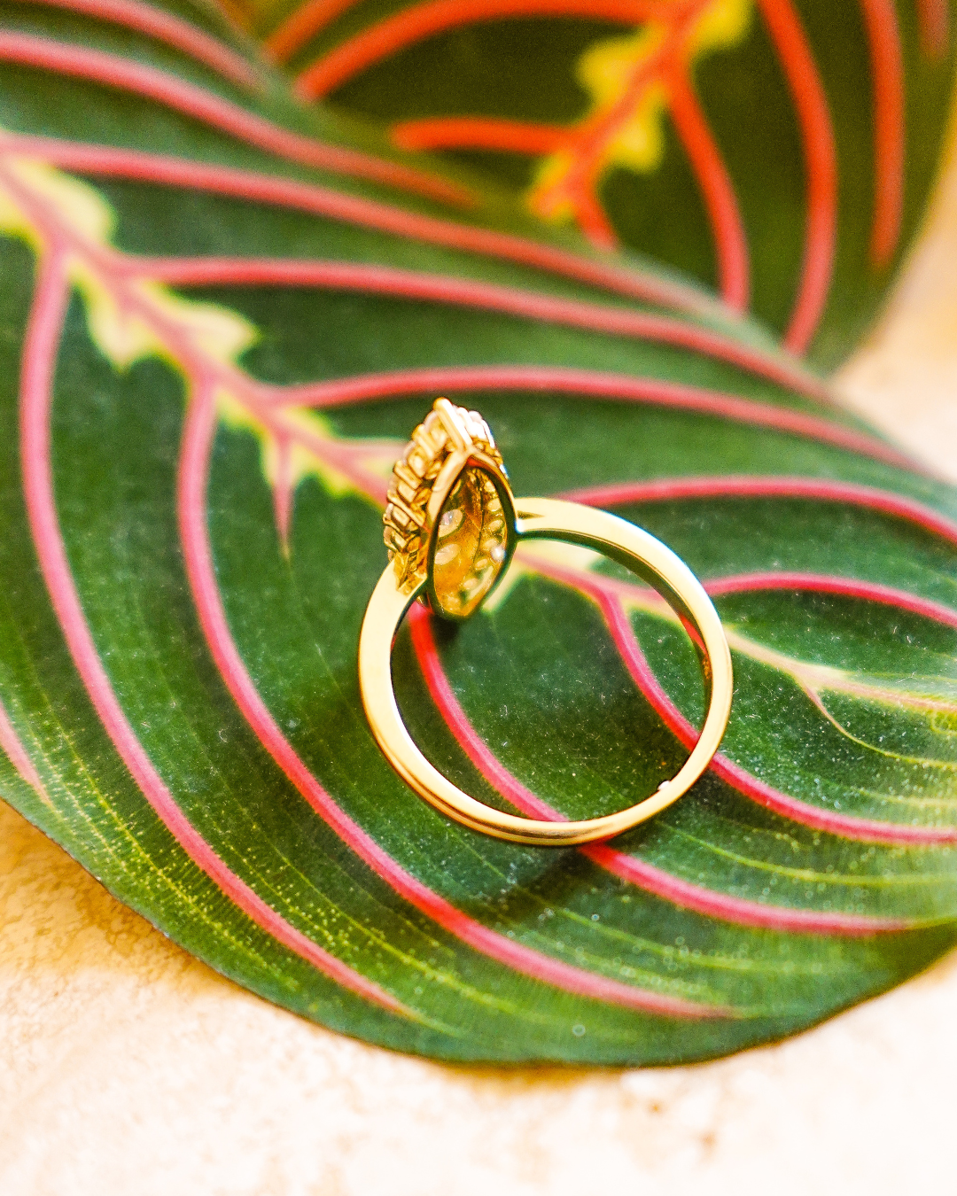 Bague cygne