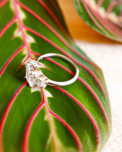 Bague tigre blanc