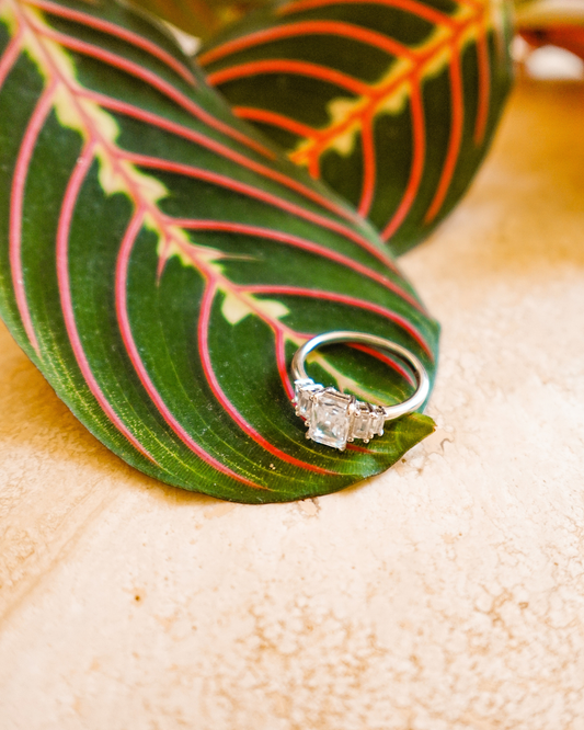 Bague tigre blanc