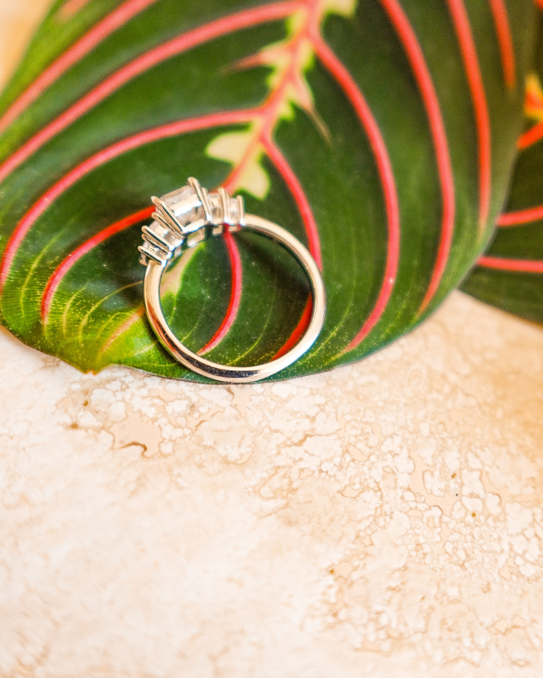 Bague tigre blanc
