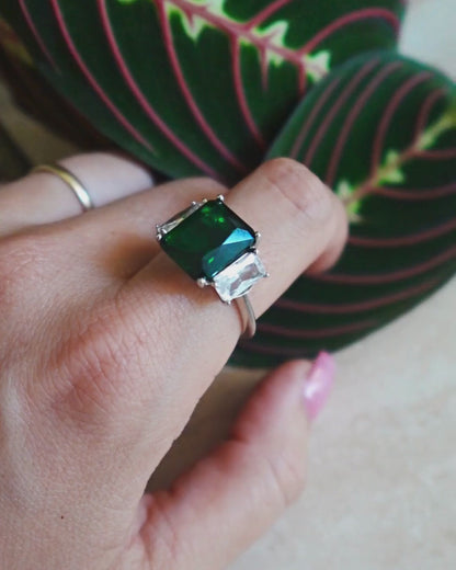 Bague Tortue
